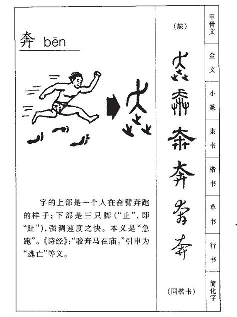 奔意思|奔（汉语文字）